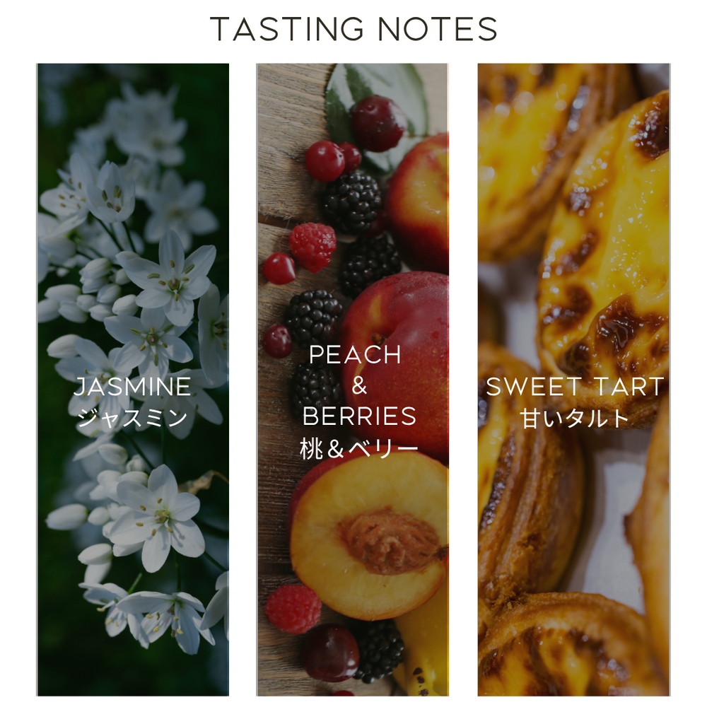 エチオピア・グジ・シャキソ・G1・ナチュラル