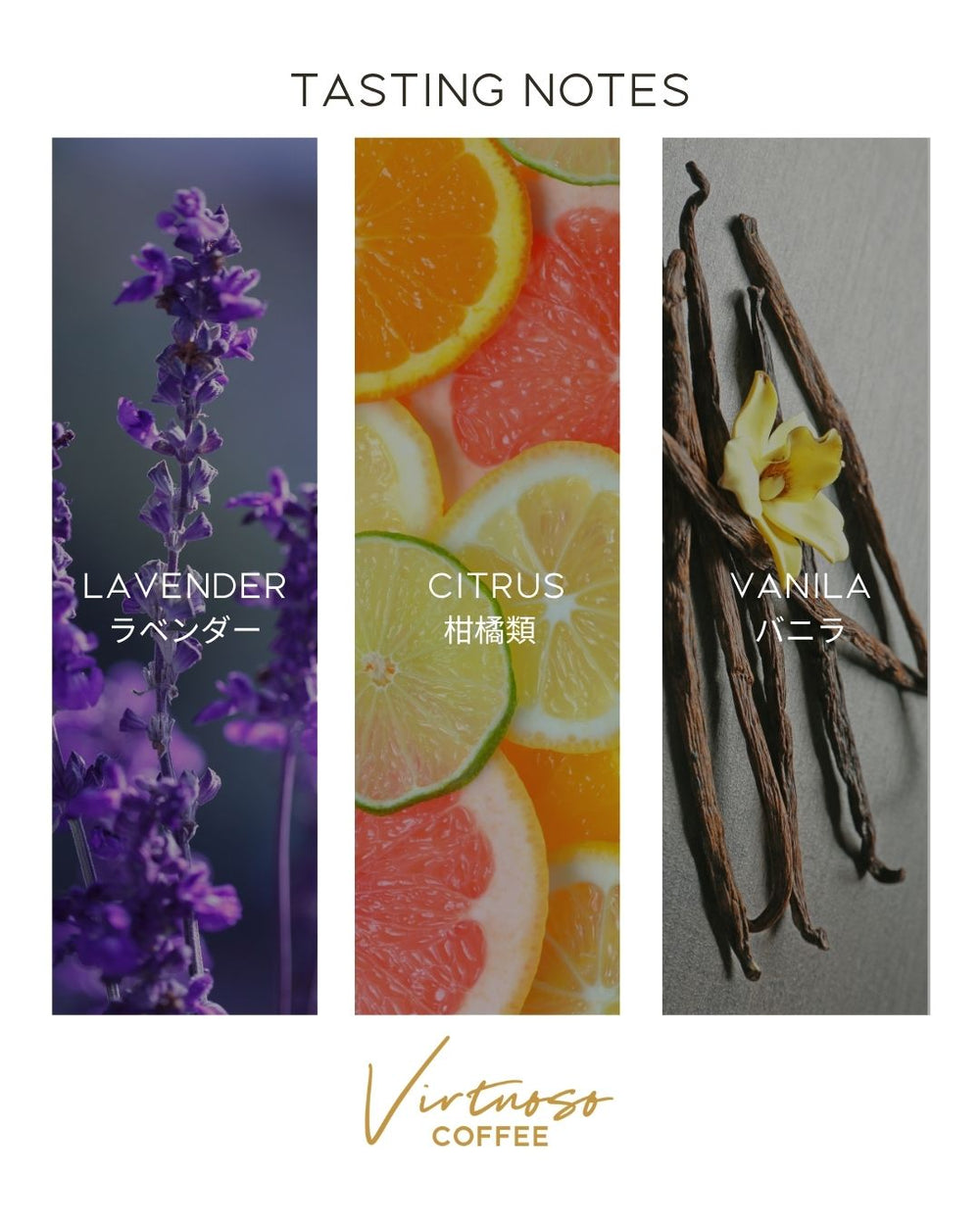 【2025年】【ラベンダーウォッシュ】ベトナム スペシャルティ K'ho Zanya