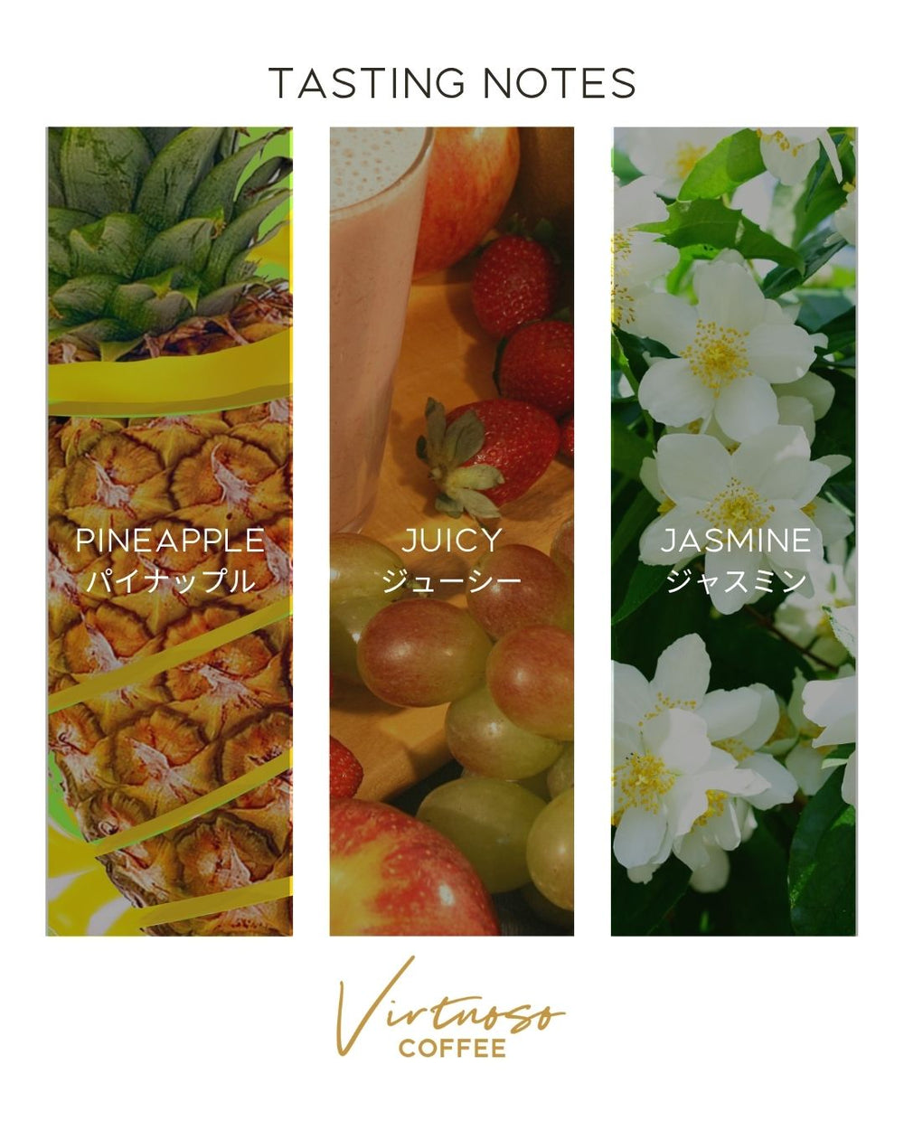 【2025年】【ダブルウォッシュ】ベトナム スペシャルティ K'ho Zanya