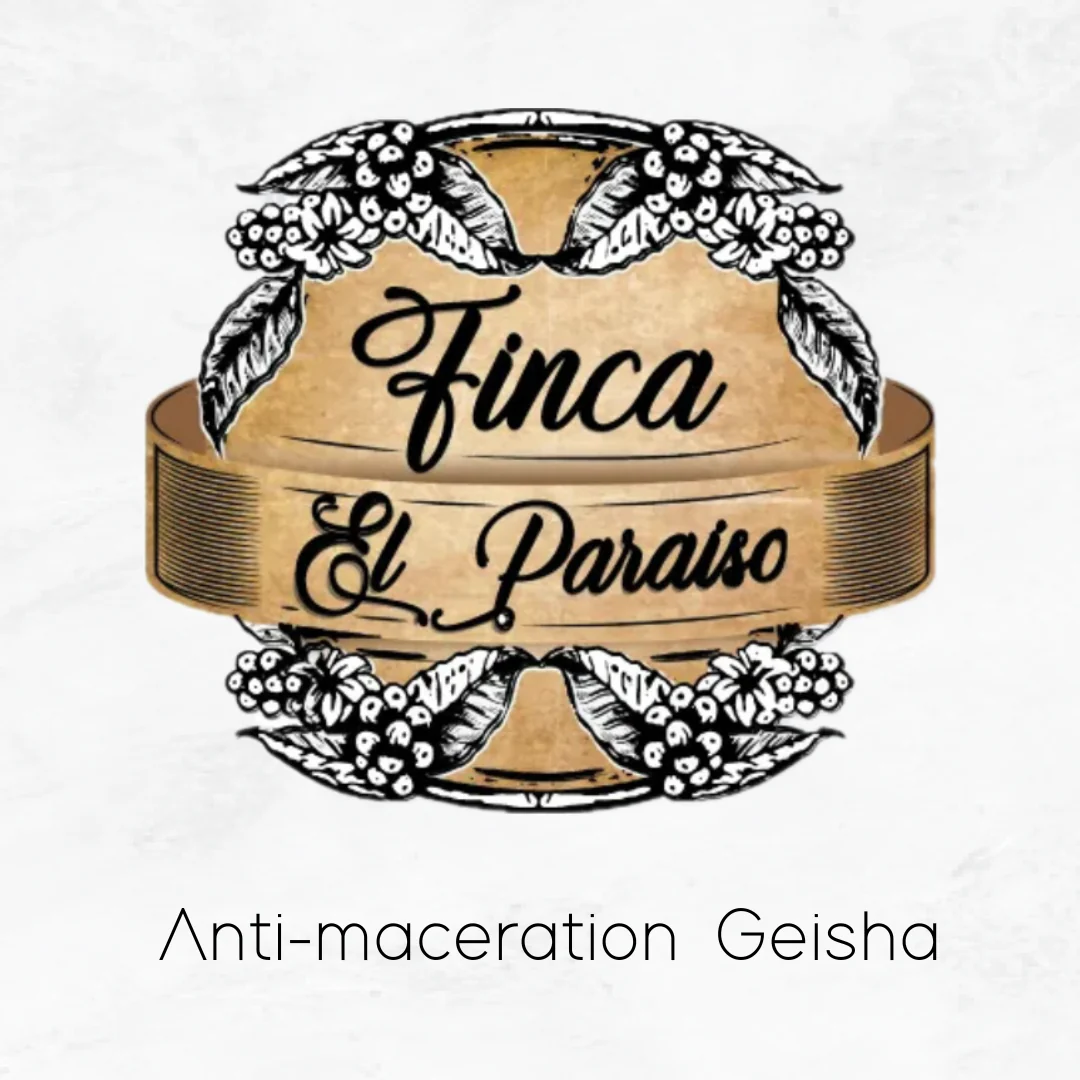 Finca El Paraíso  - Geisha Anti-Maceration 生豆 100g