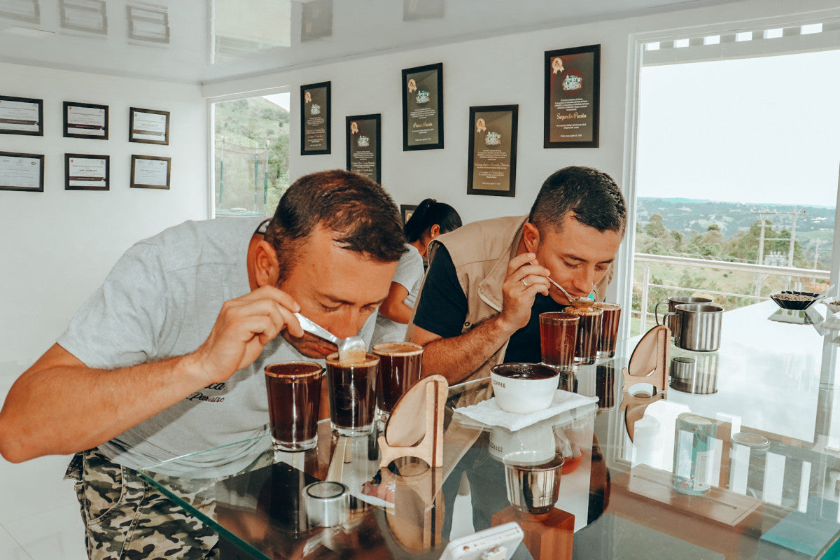 Finca El Paraíso  - Geisha Anti-Maceration 生豆 100g