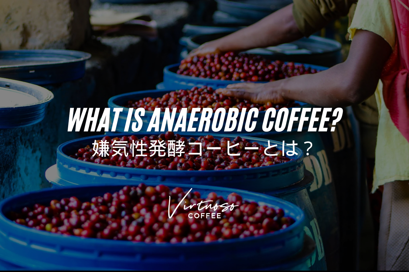 How Anaerobic Fermentation is Transforming Coffee with Unexpected and Bold Flavors