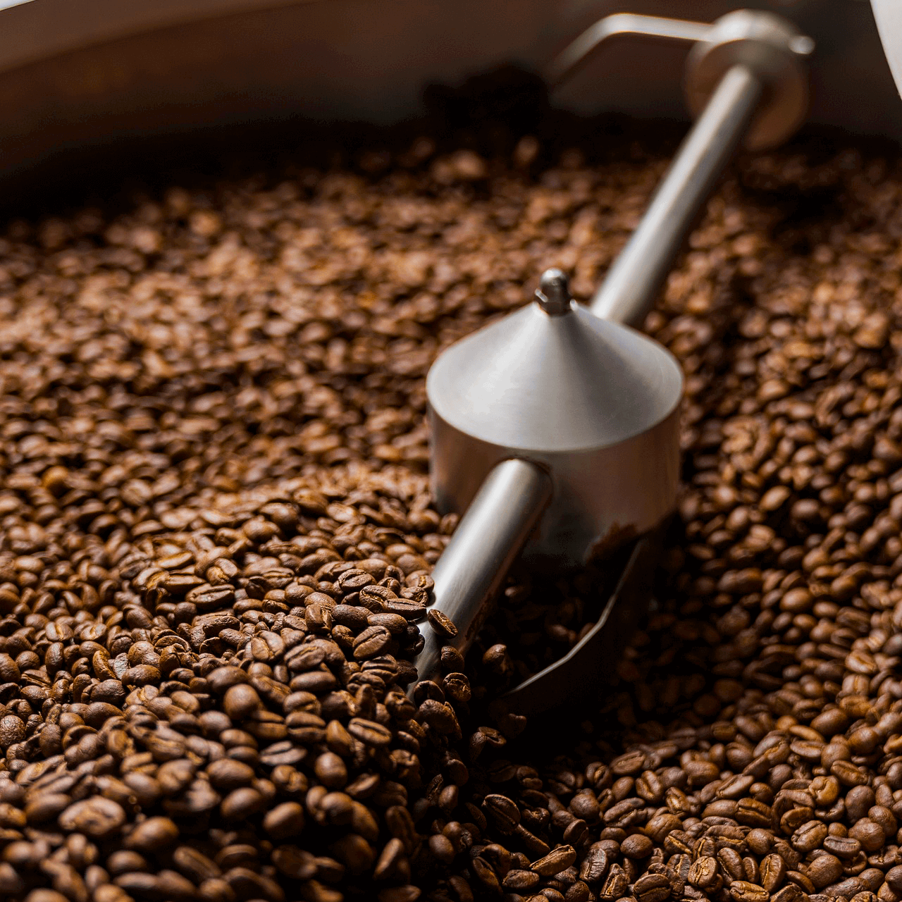 decaf coffee roasting, coffee roasting for decaf coffee lovers