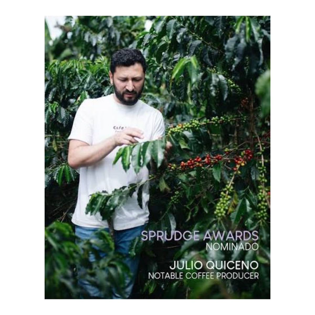 PARADISO Signature Blend
