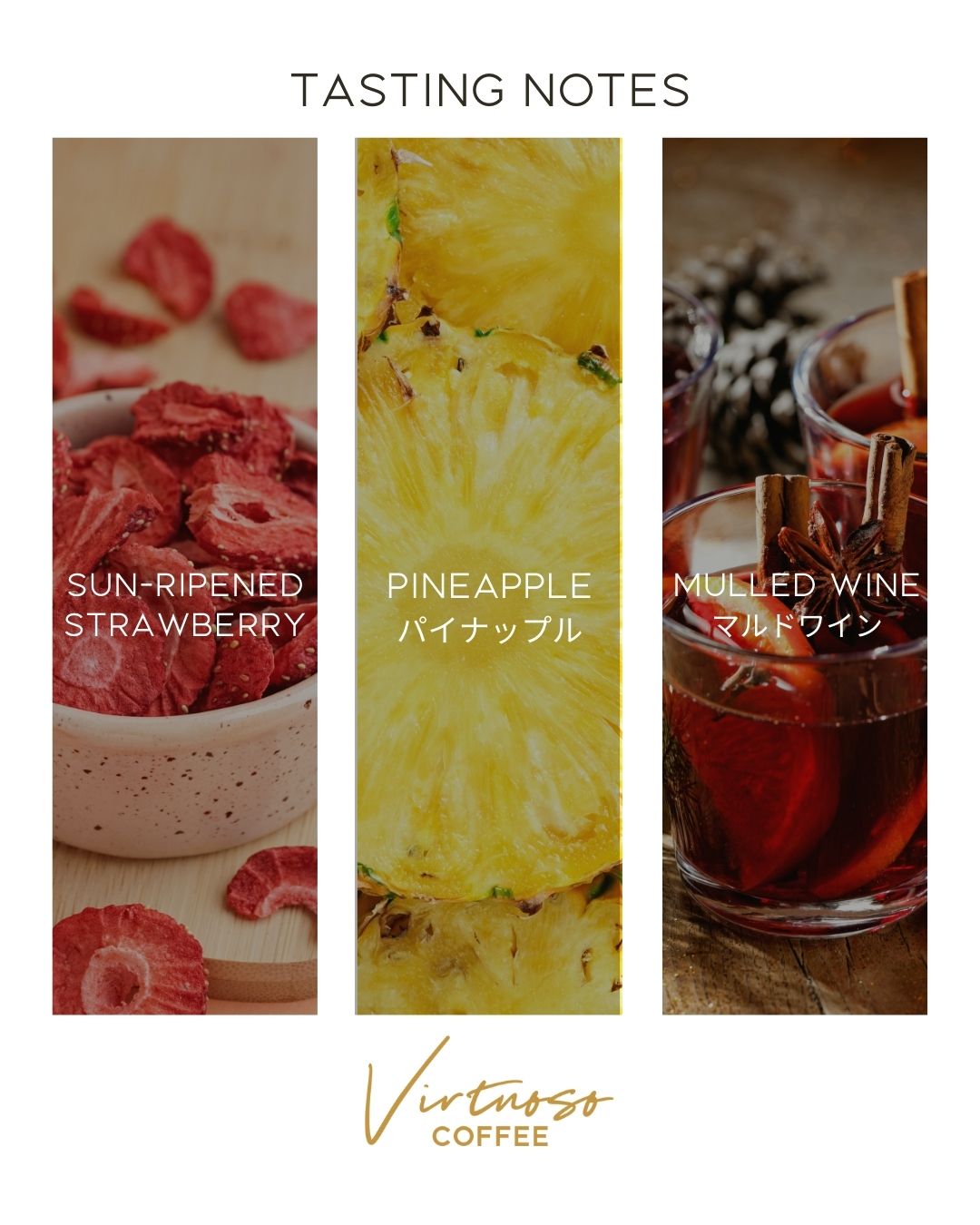 [NEW] Guatemala - Finca Santa Clara [Natural]