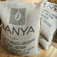 [Lavender Co-Fermented] 2026 New Crop - Vietnam Specialty K'ho Zanya