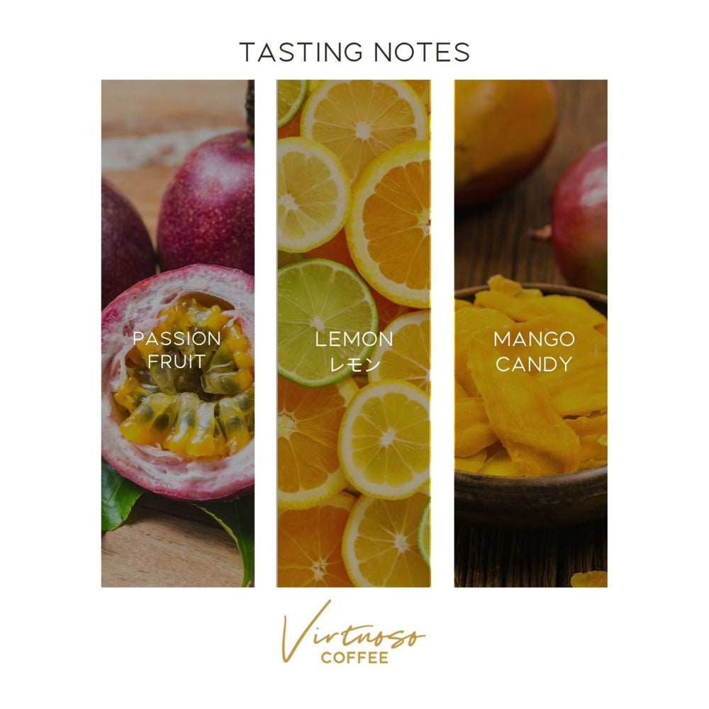 PARADISO Signature Blend