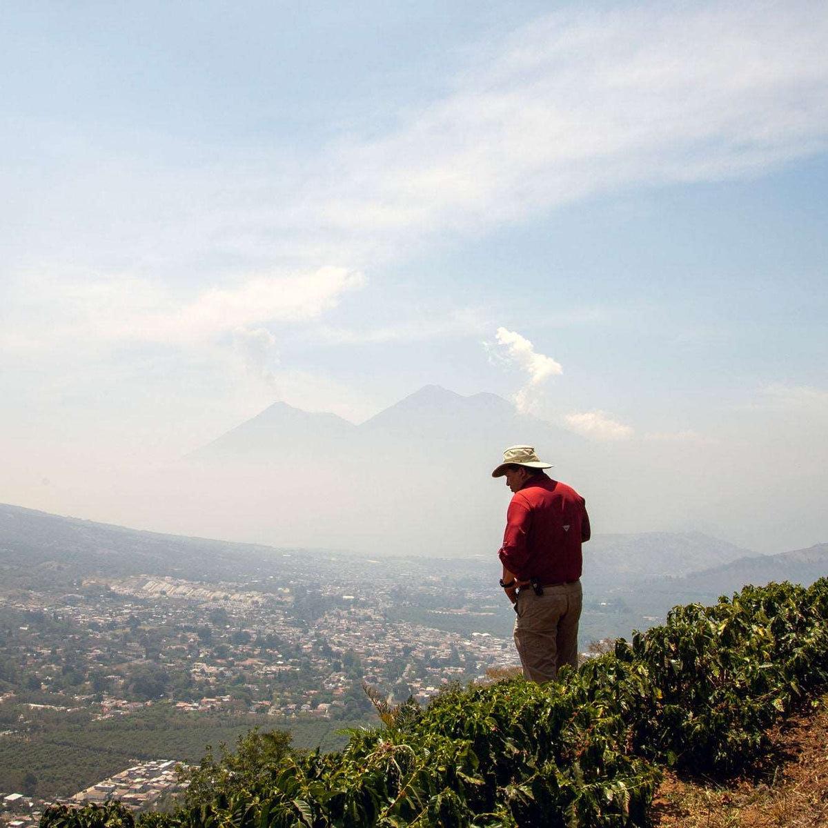[NEW] Guatemala - Finca Santa Clara [Natural]