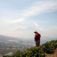 [NEW] Guatemala - Finca Santa Clara [Natural]