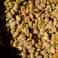LEMON-MELON Signature Blend