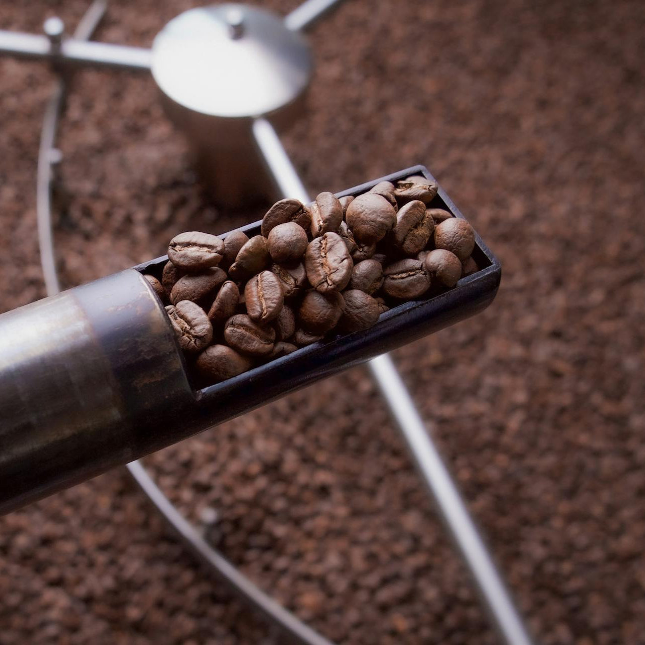 VIRTUOSO Signature Blend - Chocolate, Dark Cherry, Almond [Med