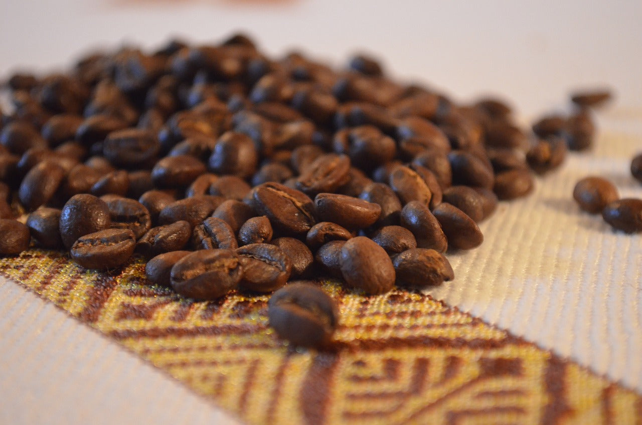 Ethiopia Guji G/1 Rasta - Jasmine, Citrus [Light-Medium Roast]