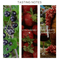 Tasting notes for black currant, strawberry, and red grape with corresponding images and Virtuoso Coffee branding.